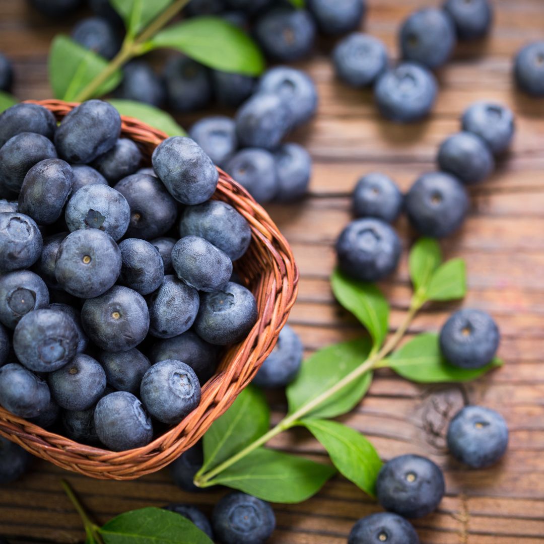 Blueberry Brain Health